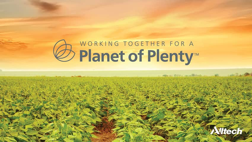 planet of plenty allteck conferência das ideias ONE 2020